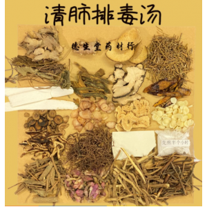 TST 清肺排毒汤 Lungs Detoxed Herbs Soup qing fei pai du