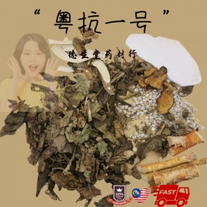 TST 粤抗1号一号 五指毛桃汤 防疫凉茶 yue kang yi hao chinese herbal tea